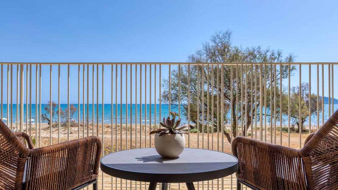 Domes Aulus Zante, Autograph Collection